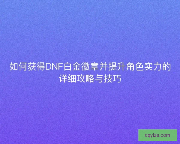 如何获得DNF白金徽章并提升角色实力的详细攻略与技巧