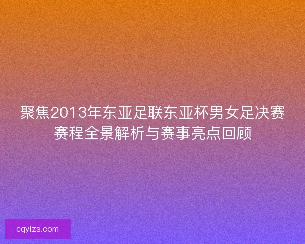 聚焦2013年东亚足联东亚杯男女足决赛赛程全景解析与赛事亮点回顾