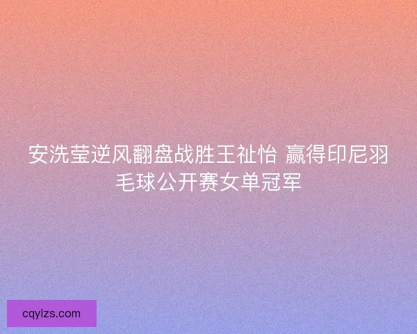 安洗莹逆风翻盘战胜王祉怡 赢得印尼羽毛球公开赛女单冠军