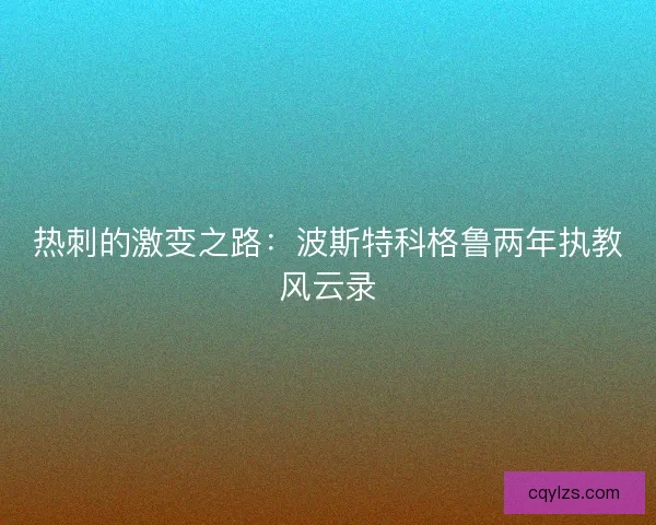 热刺的激变之路:波斯特科格鲁两年执教风云录 热刺的激变之路:波斯特科格鲁两年执教风云录